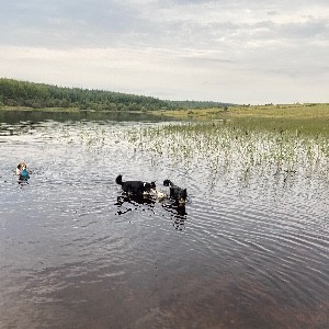 Loretta MorrisMorris