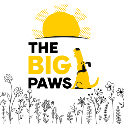 The Big Paws 2026