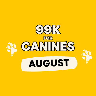 99k for Canines August 2026